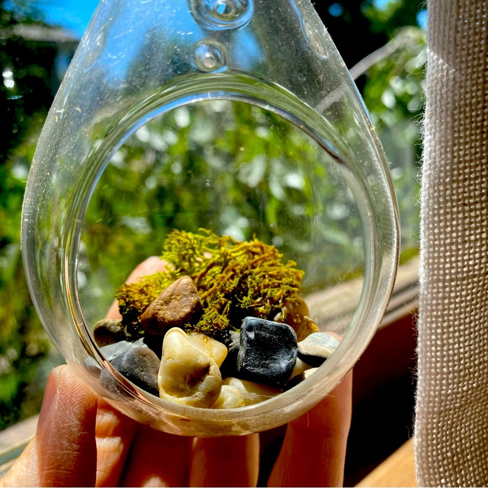 Hanging mini terrarium for Air Plant